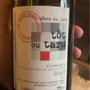 Les Bottes Rouges - Florien Klein Snuverink & Jean-Baptiste Menigoz - Tôt ou Tard