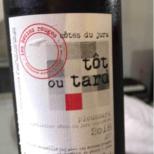 Les Bottes Rouges - Florien Klein Snuverink & Jean-Baptiste Menigoz - Tôt ou Tard