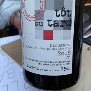 Les Bottes Rouges - Florien Klein Snuverink & Jean-Baptiste Menigoz - Tôt ou Tard