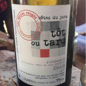 Les Bottes Rouges - Florien Klein Snuverink & Jean-Baptiste Menigoz - Tôt ou Tard