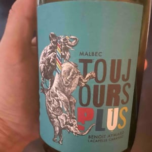 Toujours plus - Clos d’Audhuy - Benoit Aymard -2023