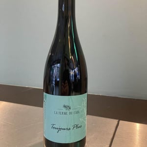 Toujours Plus - La Ferme du Cade - david-teyssier-zr