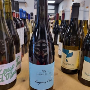 Toujours Plus - Domaine de Gressac - david-teyssier