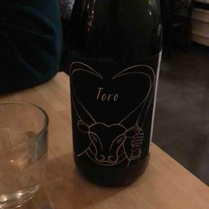 Toro - Il Ceo - Davide Andreatta 