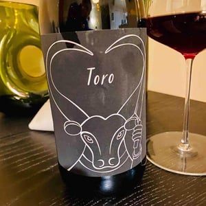 Toro - Il Ceo - Davide Andreatta 
