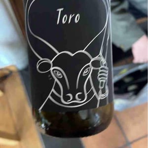 Toro - Il Ceo - Davide Andreatta 