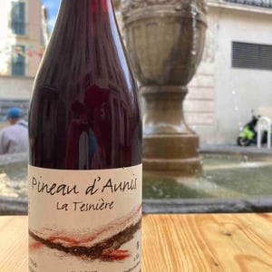 Touraine "La Tesnière" (rouge) - Domaine POB - pierre-olivier-bonhomme
