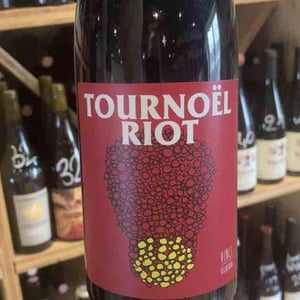 Tournoël Riot - No Control - vincent-marie