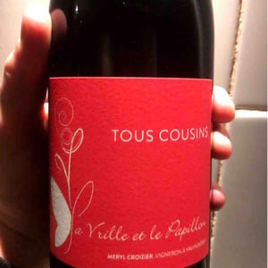 La Vrille et le Papillon - Géraldine & Méryl Croizier - Tous Cousins