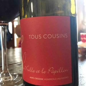 Tous Cousins - La Vrille et le Papillon - geraldine-meryl-croizier