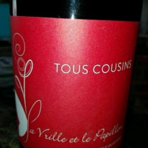 Tous Cousins - La Vrille et le Papillon - Géraldine & Méryl Croizier 