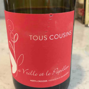 La Vrille et le Papillon - Géraldine & Méryl Croizier - Tous Cousins