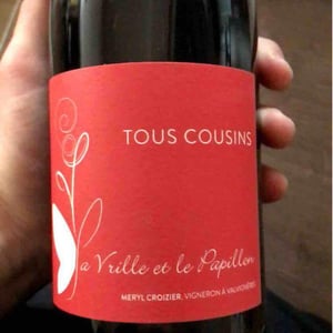 Tous Cousins - La Vrille et le Papillon - geraldine-meryl-croizier