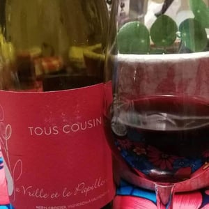 Tous Cousins - La Vrille et le Papillon - geraldine-meryl-croizier