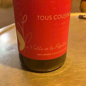 Tous Cousins - La Vrille et le Papillon - geraldine-meryl-croizier