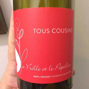 Tous Cousins - La Vrille et le Papillon - geraldine-meryl-croizier