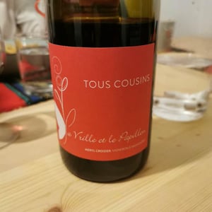 Tous Cousins - La Vrille et le Papillon - geraldine-meryl-croizier