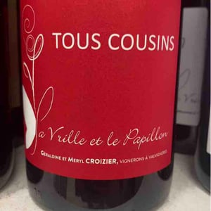 Tous Cousins - La Vrille et le Papillon - geraldine-meryl-croizier