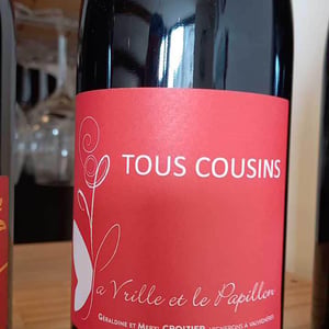 Tous Cousins - La Vrille et le Papillon - geraldine-meryl-croizier