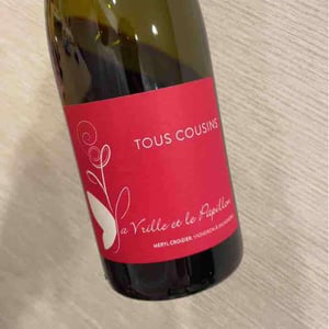 Tous Cousins - La Vrille et le Papillon - geraldine-meryl-croizier