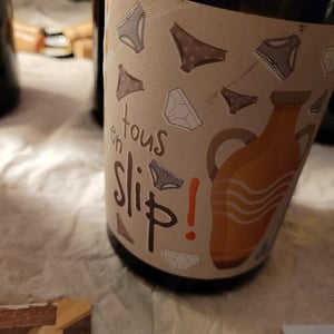 Tous en slip! - Larcelet Vincent - Domaine du Petit Bouchon - vincent-larcelet -2022