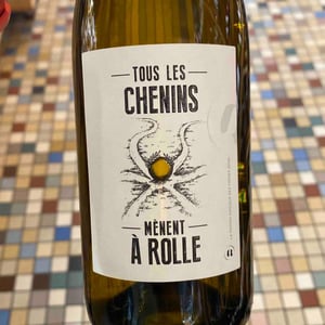 Tous les chenins mènent à Rolle - Domaine des Amiel - Aymeric & Jordan Amiel -2022