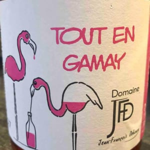 Tout En Gamay - Domaine Jean François Debourg - Jean-François & Ghislaine Debourg 
