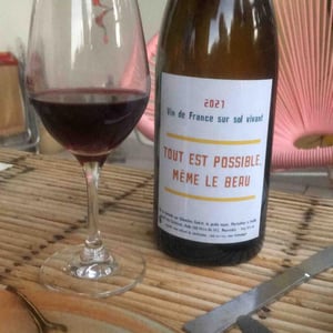 Tout est possible même le beau - Le Jardin Super - Sebastien Godret -2021