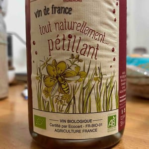 Tout Naturellement Pétillant - Florian & Mathilde Beck-Hartweg - Florian & Mathilde Beck-Hartweg -2019