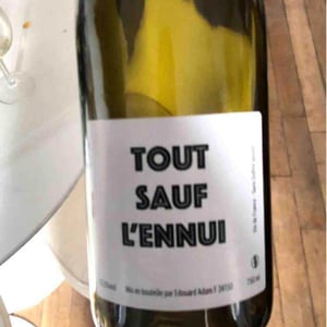 Tout Sauf l'Ennui - Domaine Mada - pauline-bousquet-edouard-adam