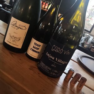 Tout Sauf l'Ennui - Domaine Mada - pauline-bousquet-edouard-adam