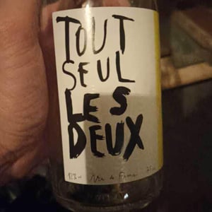 Tout Seul Les Deux - Simon Rouillard - simon-rouillard