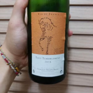 Tout Terriblement - Domaine Brand & Fils - Philippe Brand 