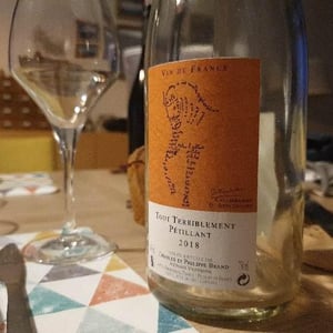 Domaine Brand & Fils - Philippe Brand - Tout Terriblement Macération