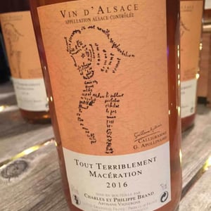 Tout Terriblement Macération - Domaine Brand & Fils - philippe-brand