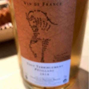 Domaine Brand & Fils - Philippe Brand - Tout Terriblement Macération