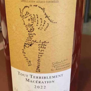 Tout Terriblement Macération - Domaine Brand & Fils - philippe-brand