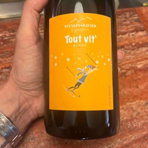 Tout vit’ Blanc - Domaine Philippe et Sylvain Ravier - Philippe et Sylvain Ravier -2021