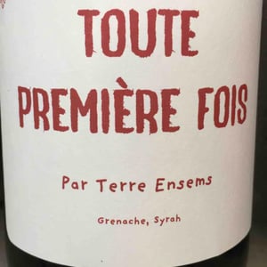 Toute Première Fois - Terre Ensems - krystel-costes-michel-bouisseren