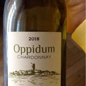 Oppidum 18