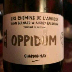 Oppidum (Label from 2020) - Les Chemins de l'Arkose - Yvan Bernard & Audrey Baldassin 