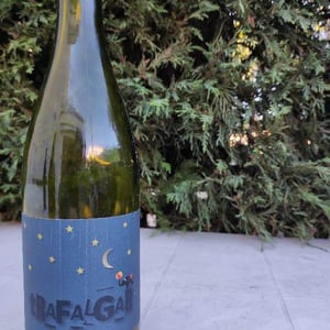 Domaine Mamaruta - Marc Castan - Trafalgar
