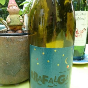 Domaine Mamaruta - Marc Castan - Trafalgar