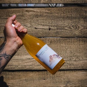 Tragolargo 2021 - Bodegas Bernabé Navarro SL - Rafa Bernabé -2021