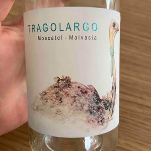 Finca Casa Balaguer - Marta Ribera & Andres Carull - Tragolargo