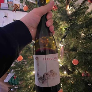 Finca Casa Balaguer - Marta Ribera & Andres Carull - Tragolargo