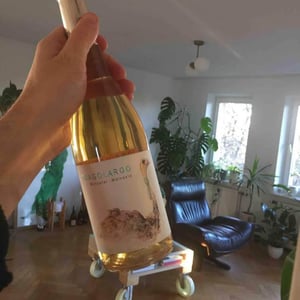 Bodegas Bernabé Navarro SL - Rafa Bernabé - Tragolargo Orange