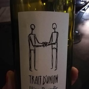 Trait d'Union Miso Paradis - Domaine Julien Meyer - Patrick Meyer 