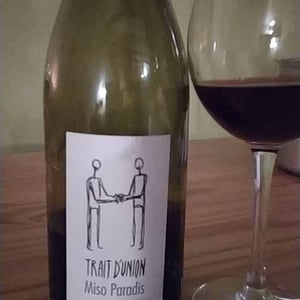 Trait d'Union Miso Paradis - Domaine Julien Meyer - Patrick Meyer 