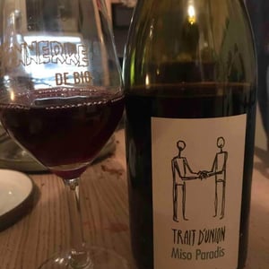Trait d'Union Miso Paradis - Domaine Julien Meyer - Patrick Meyer 
